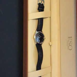 Classic ESQ leather watch